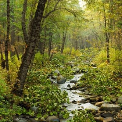 亚博体育(中国)官方网站